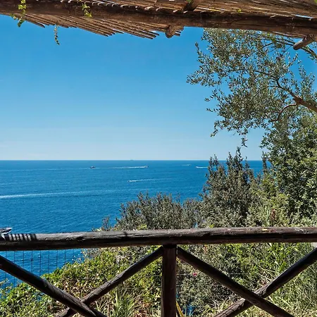 Aurora In Dependance